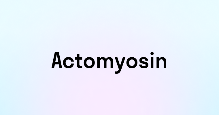 Actomyosin