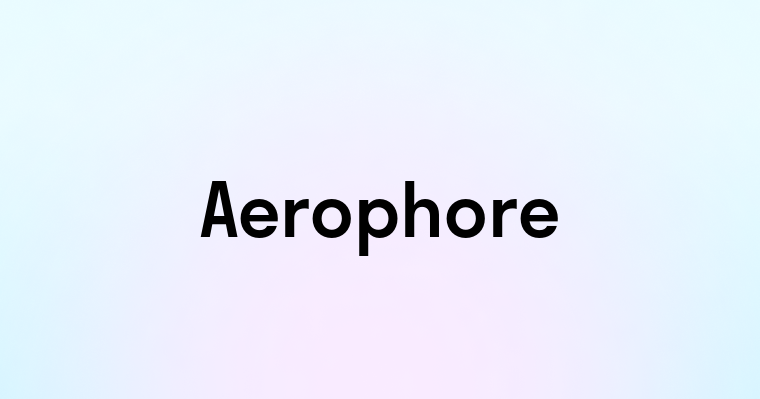 Aerophore