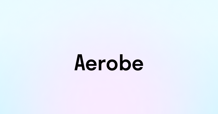 Aerobe