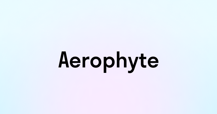 Aerophyte