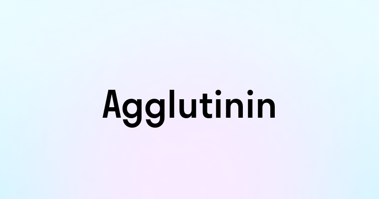 Agglutinin