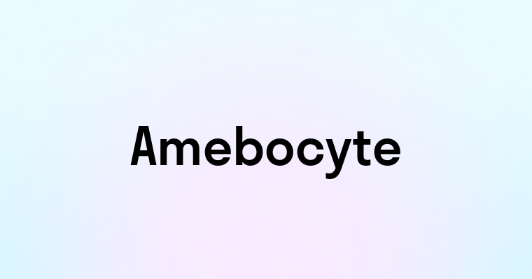 Amebocyte