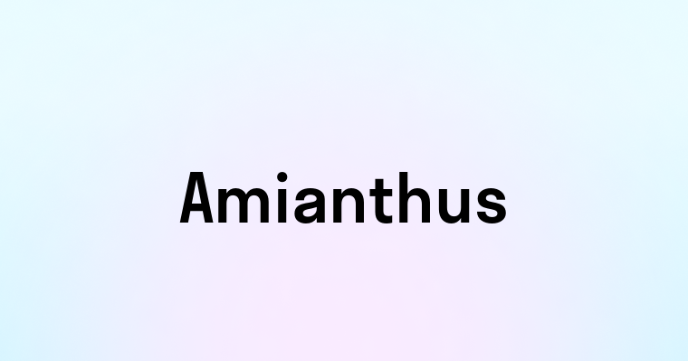 Amianthus