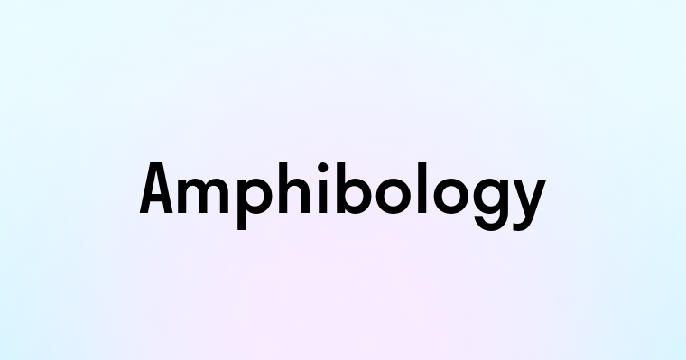 Amphibology