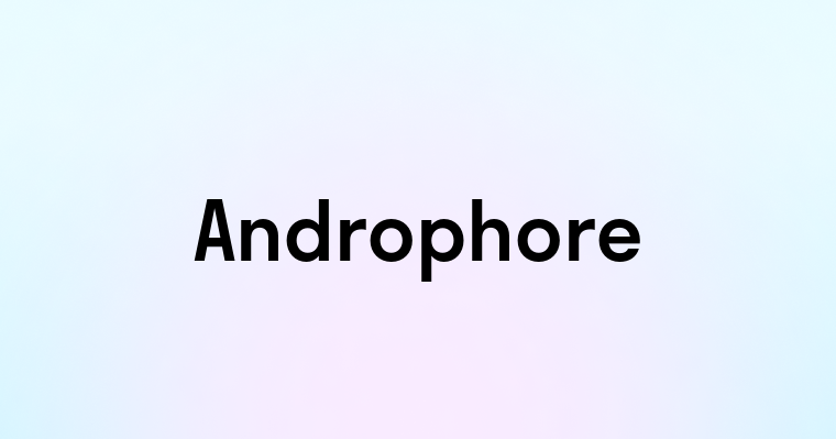 Androphore