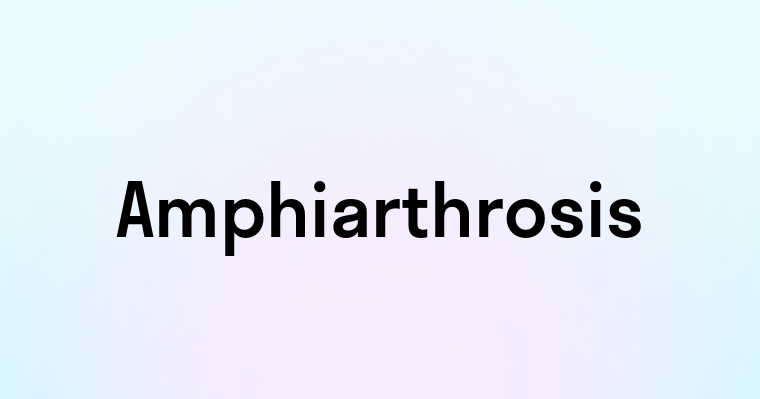 Amphiarthrosis