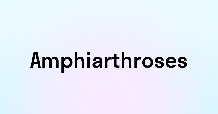 Amphiarthroses