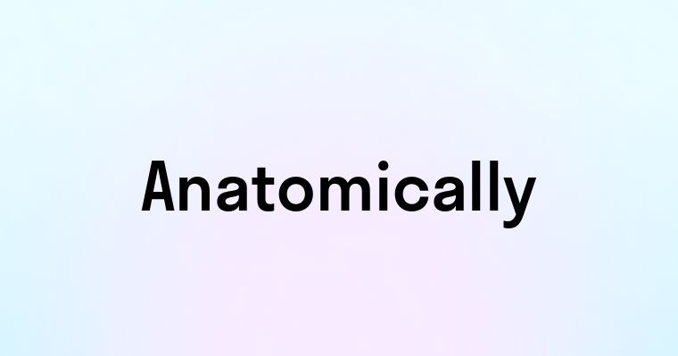 Anatomically