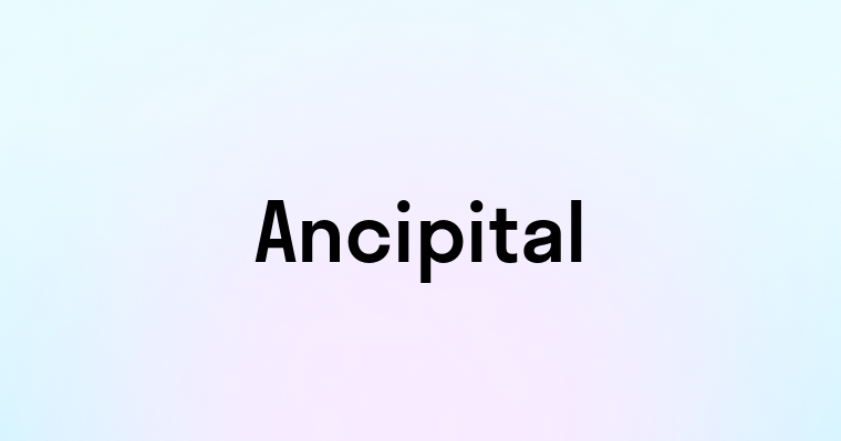 Ancipital