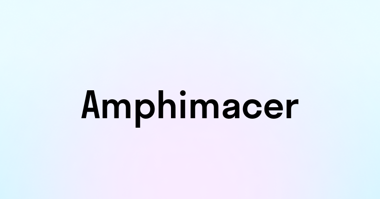 Amphimacer