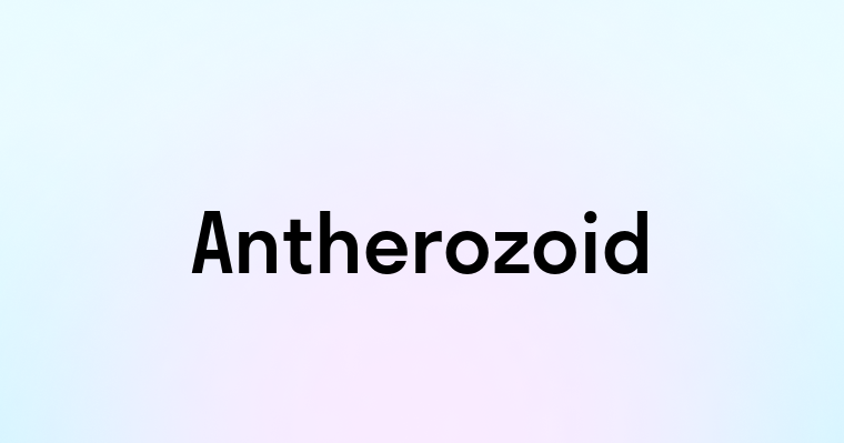 Antherozoid