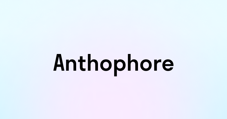 Anthophore