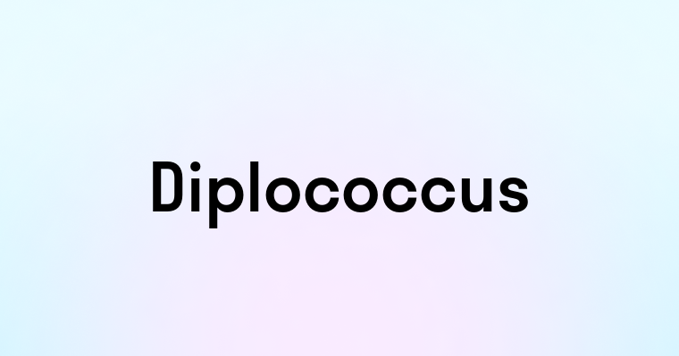 Diplococcus