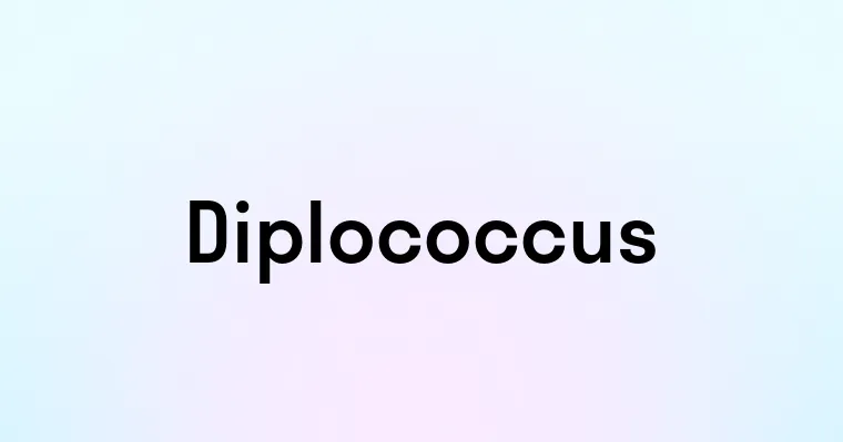 Diplococcus