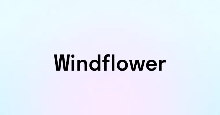 Windflower