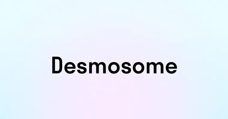 Desmosome