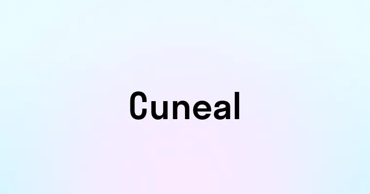 Cuneal