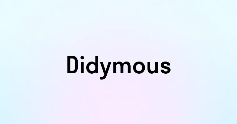 Didymous