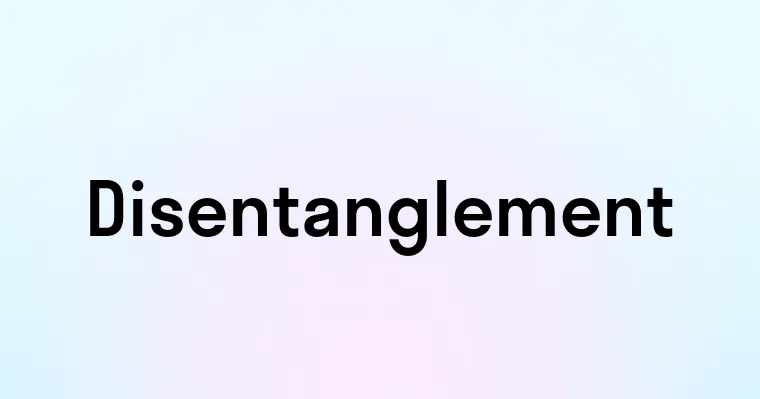 Disentanglement