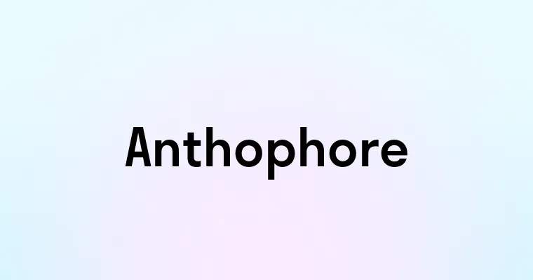 Anthophore