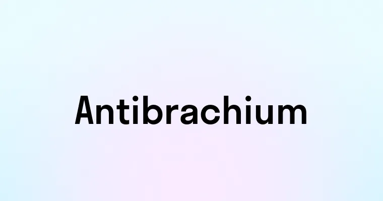 Antibrachium