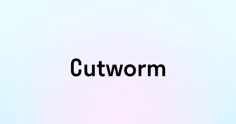 Cutworm