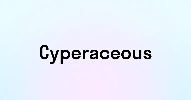 Cyperaceous