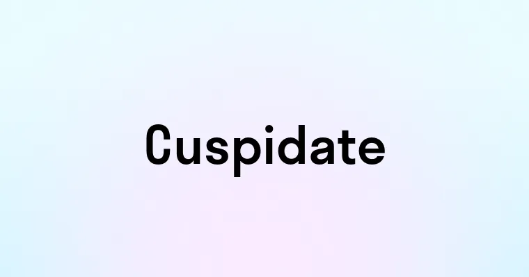 Cuspidate