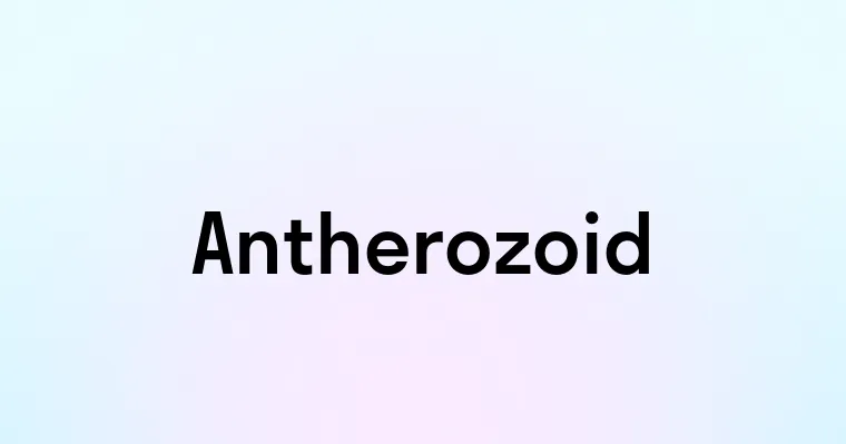 Antherozoid