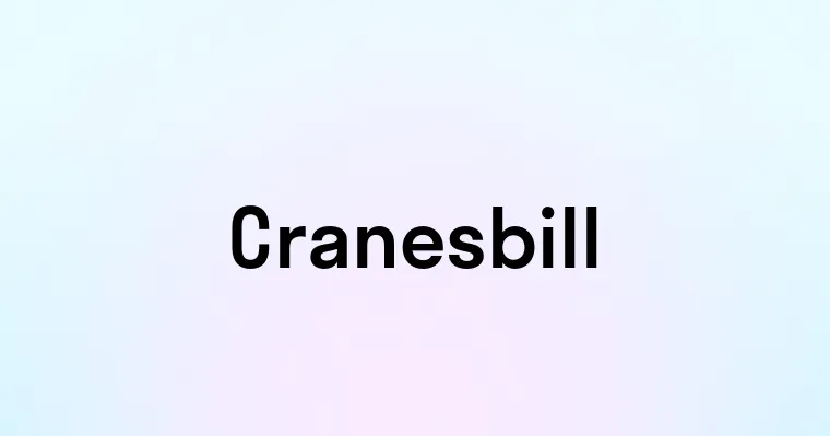 Cranesbill