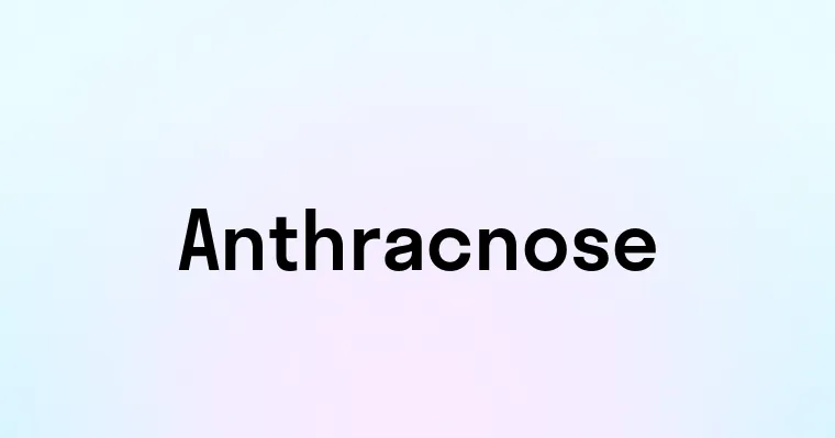 Anthracnose