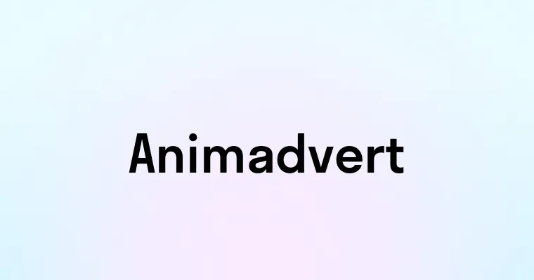 Animadvert