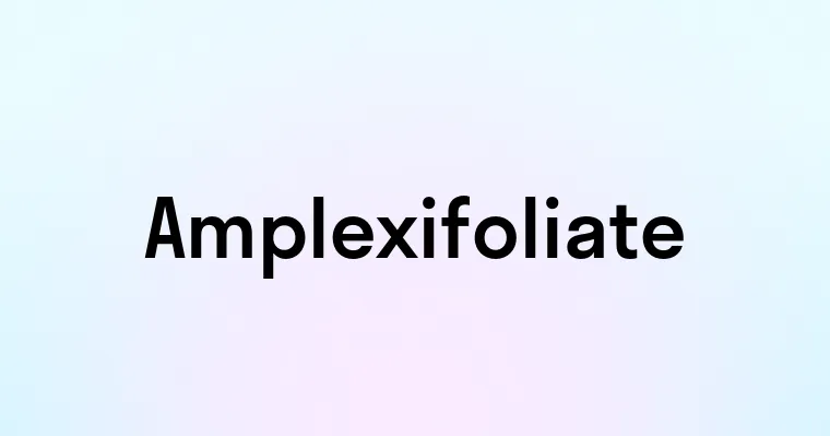 Amplexifoliate