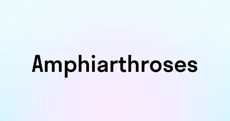 Amphiarthroses