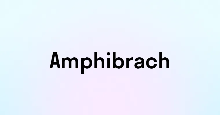 Amphibrach