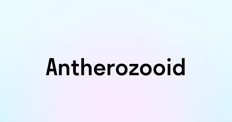 Antherozooid