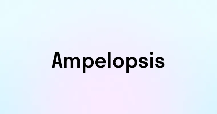 Ampelopsis