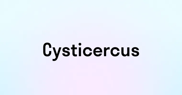 Cysticercus