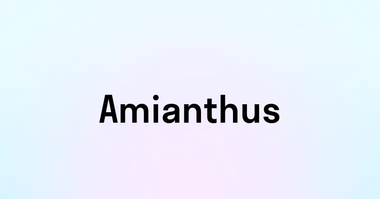 Amianthus