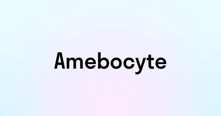 Amebocyte