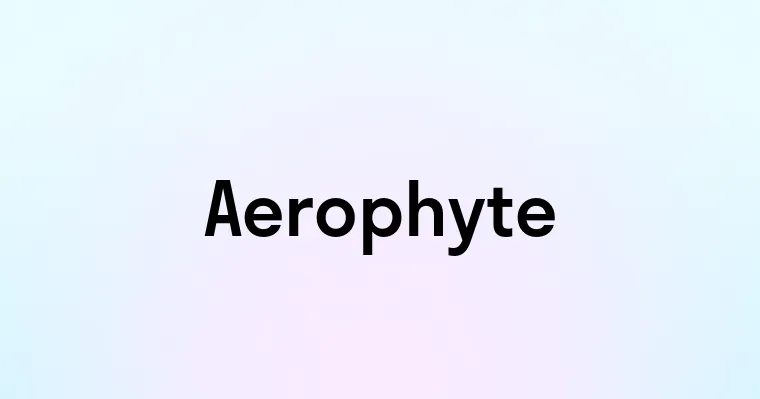 Aerophyte