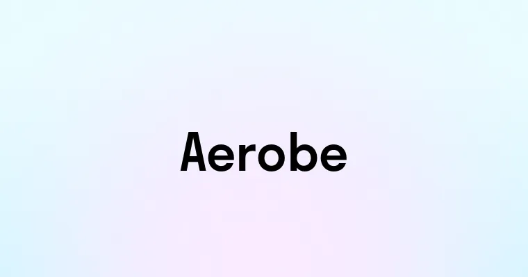 Aerobe