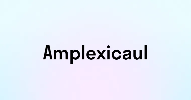 Amplexicaul