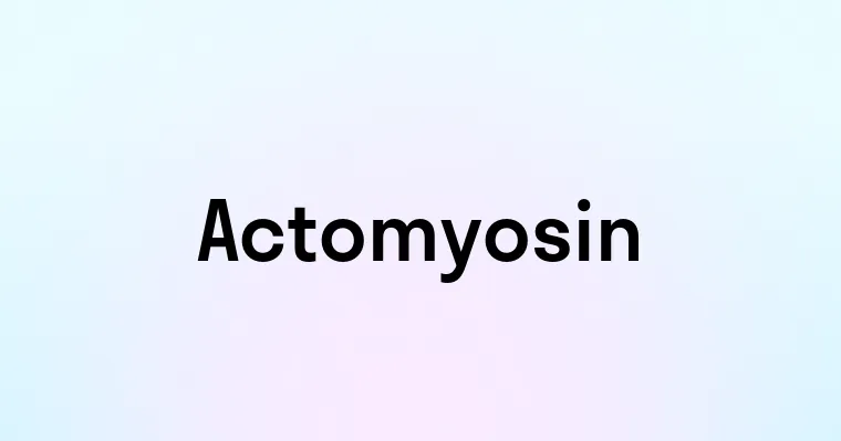 Actomyosin