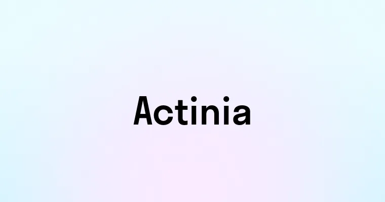 Actinia