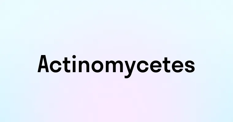 Actinomycetes