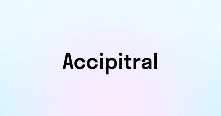 Accipitral