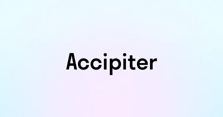 Accipiter