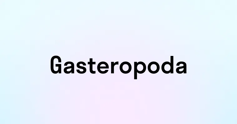 Gasteropoda