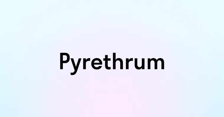 Pyrethrum